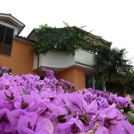 Apartma Marina Apartament Piran